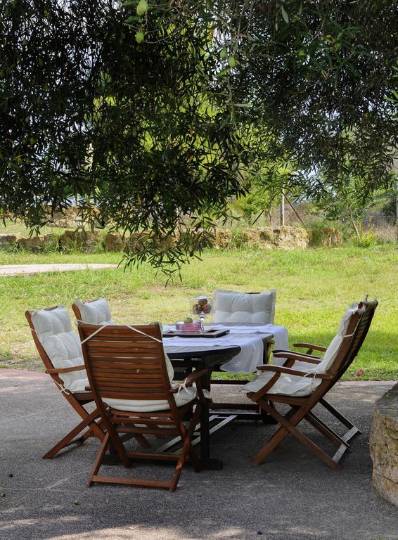 Villa Olivos Sani Sani (Chalkidiki)