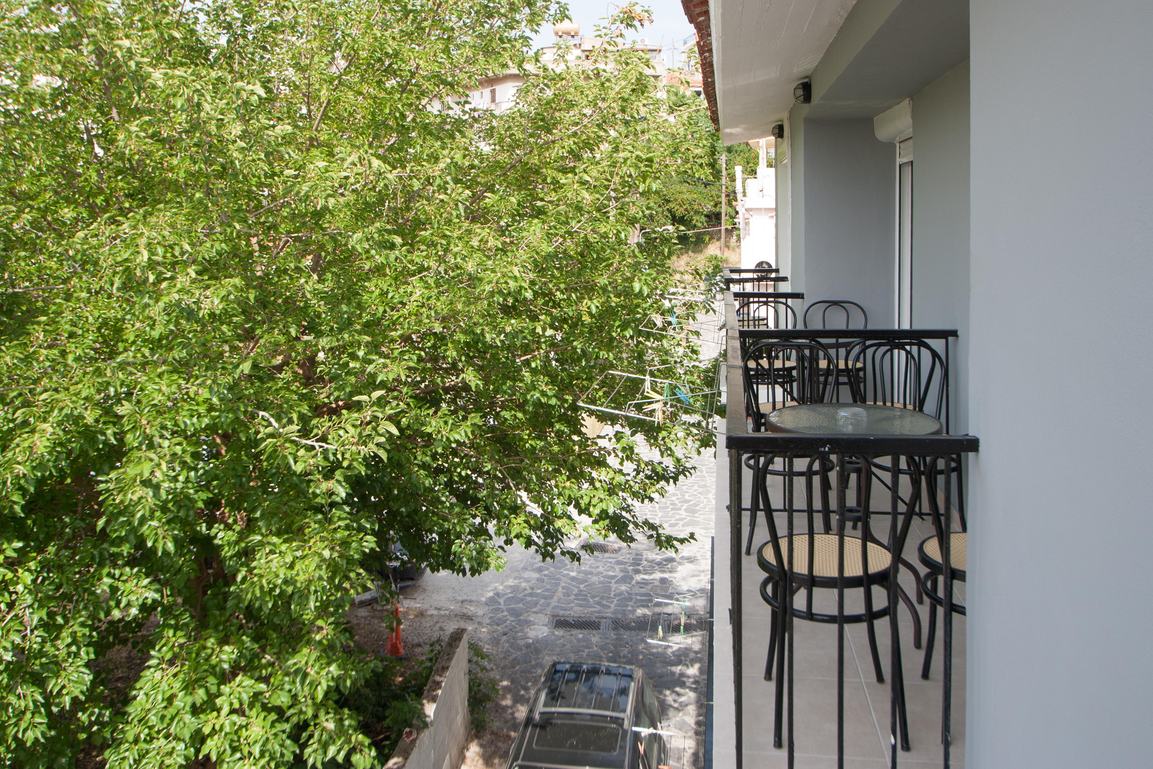 Avocado Guest house 2*