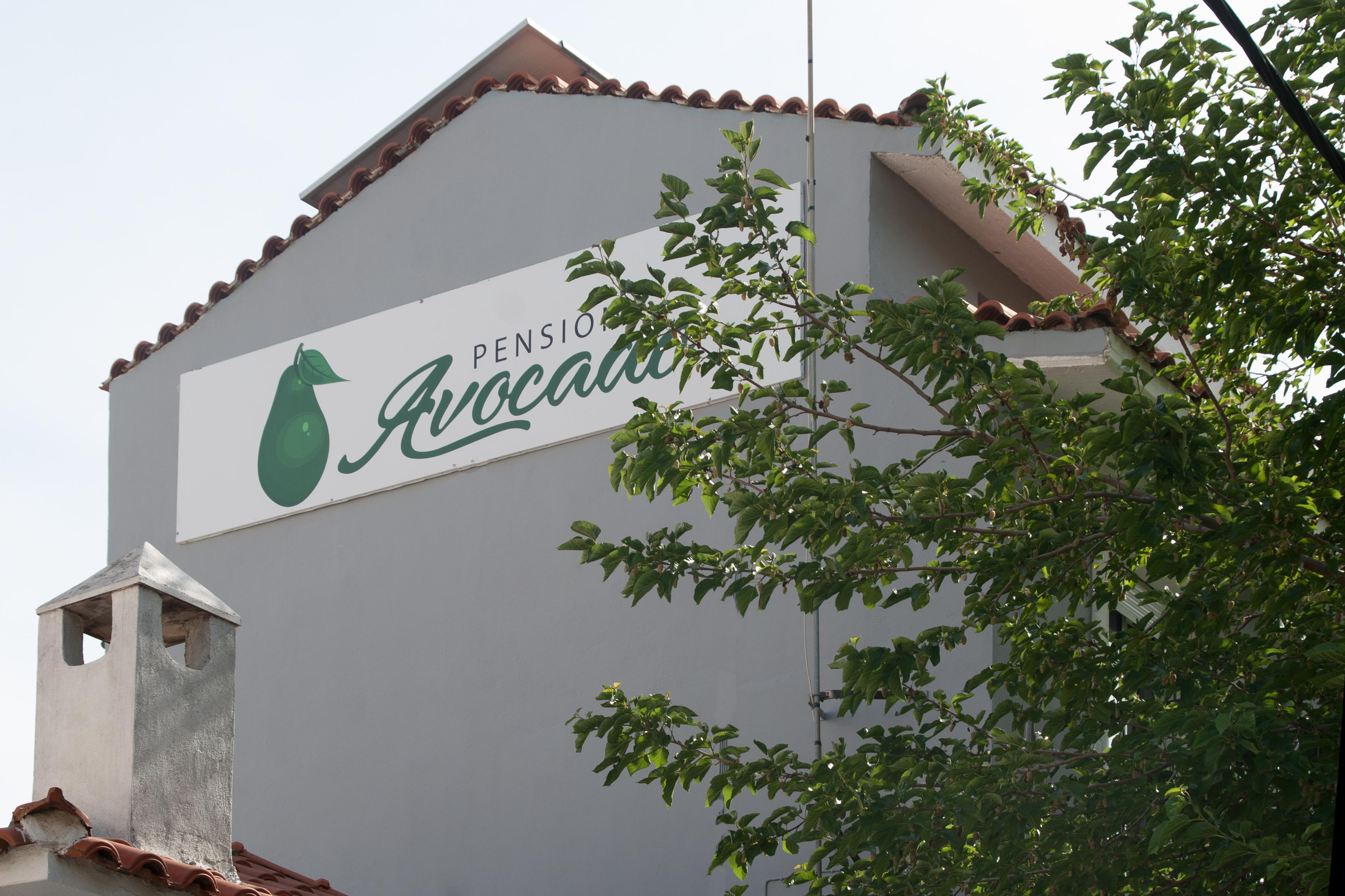Avocado Skiathos Town