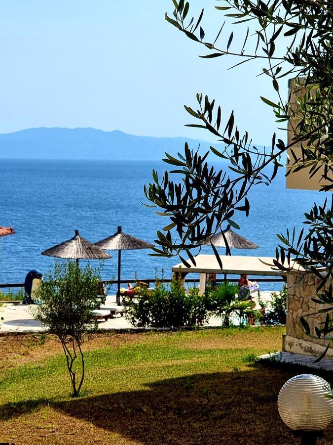 Blue Bay Halkidiki Hotel 4*
