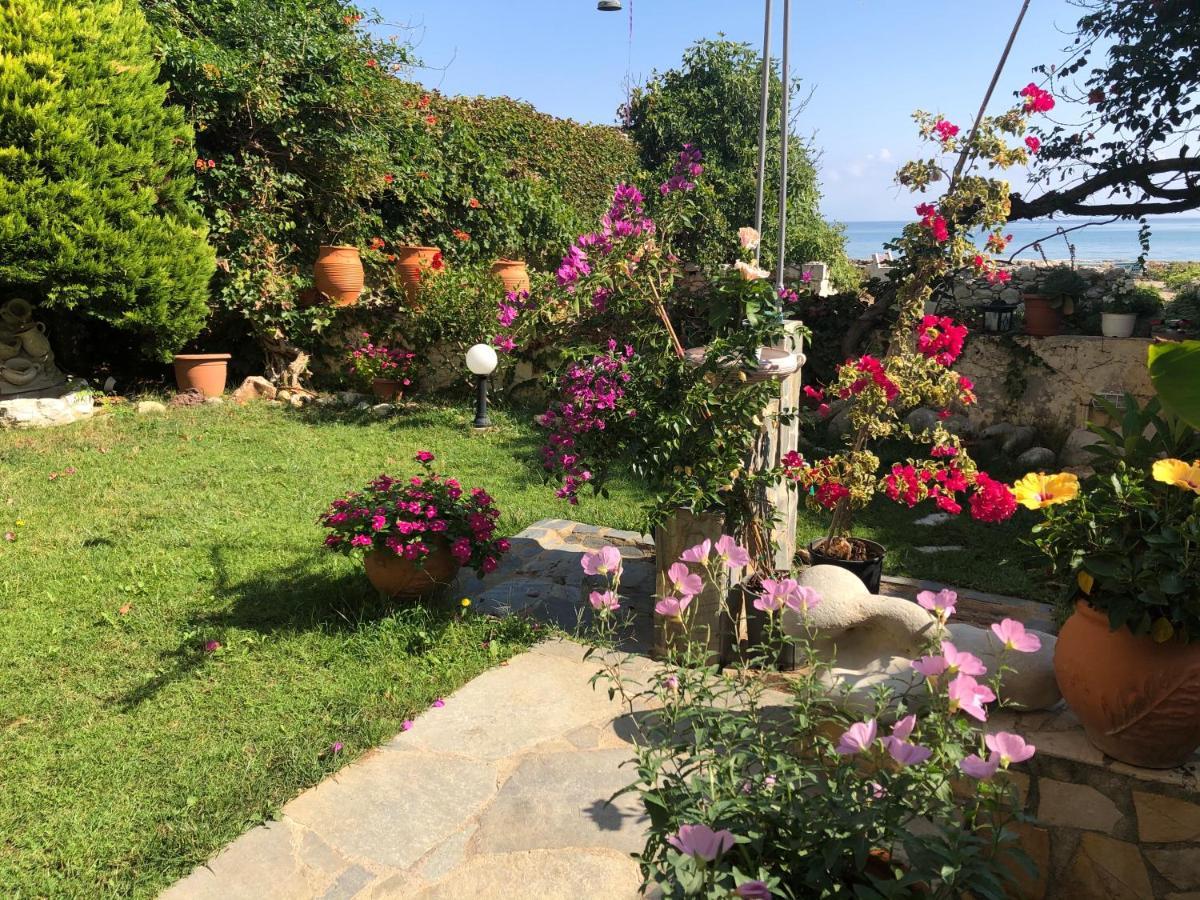 Asterias Studios & Apartment