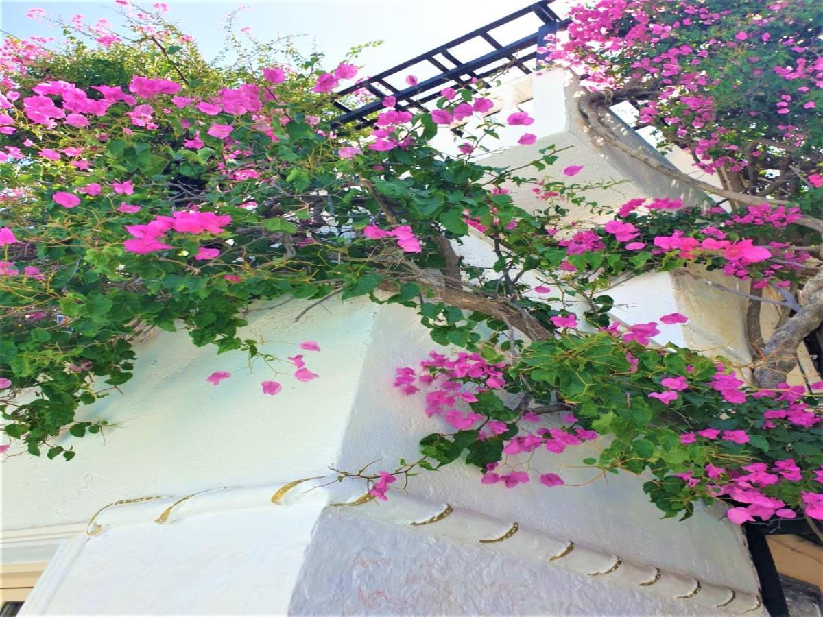 Sunset Paradise In Hersonisos * Hersonissos (Crete)
