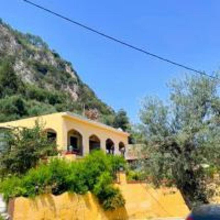 Vassilis Apartment Paleokastritsa