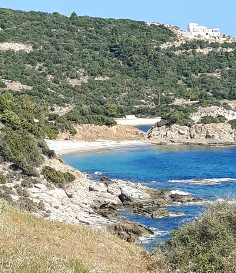 Wilem Apartment Sarti