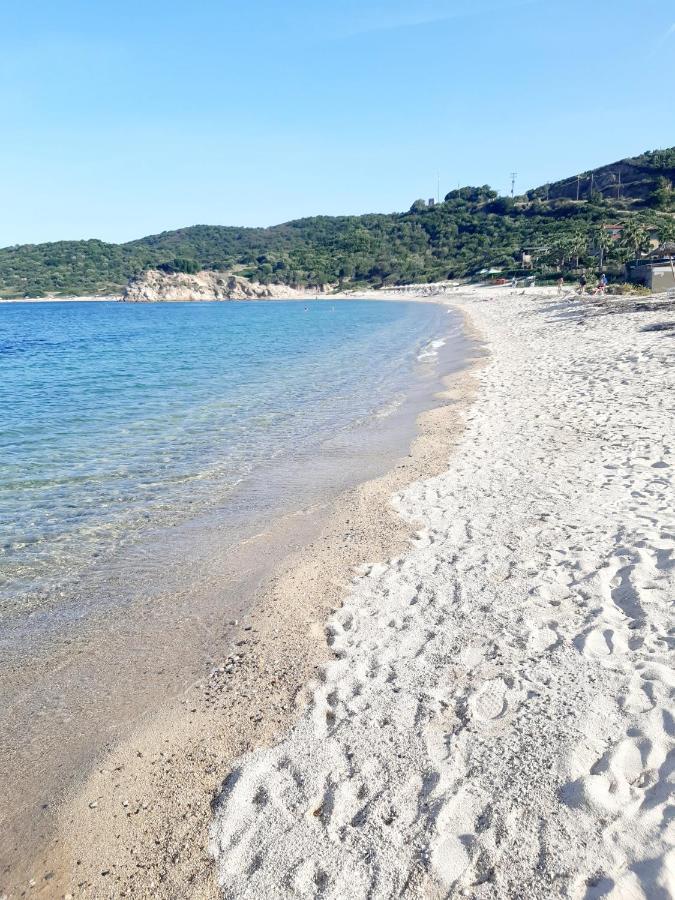 Apartment Wilem Sarti