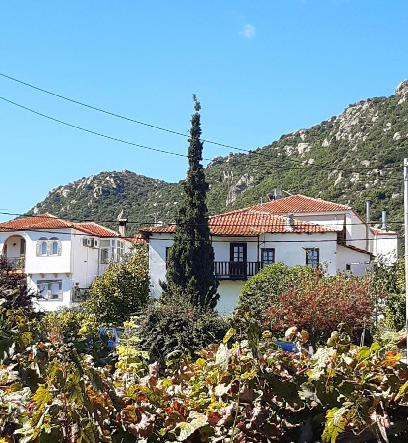 Wilem Apartment Sarti