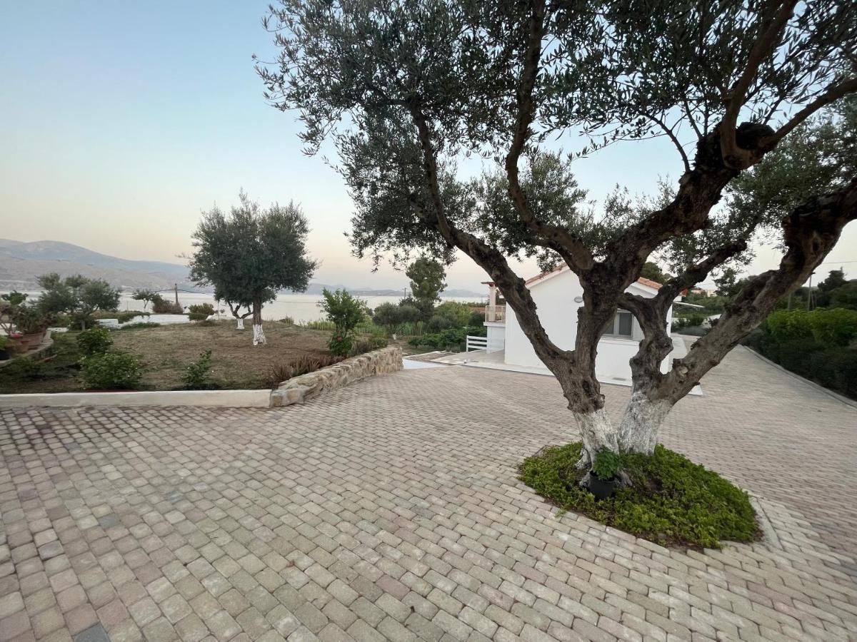 Apollonides Seafront Villa 2 Melete Villa *