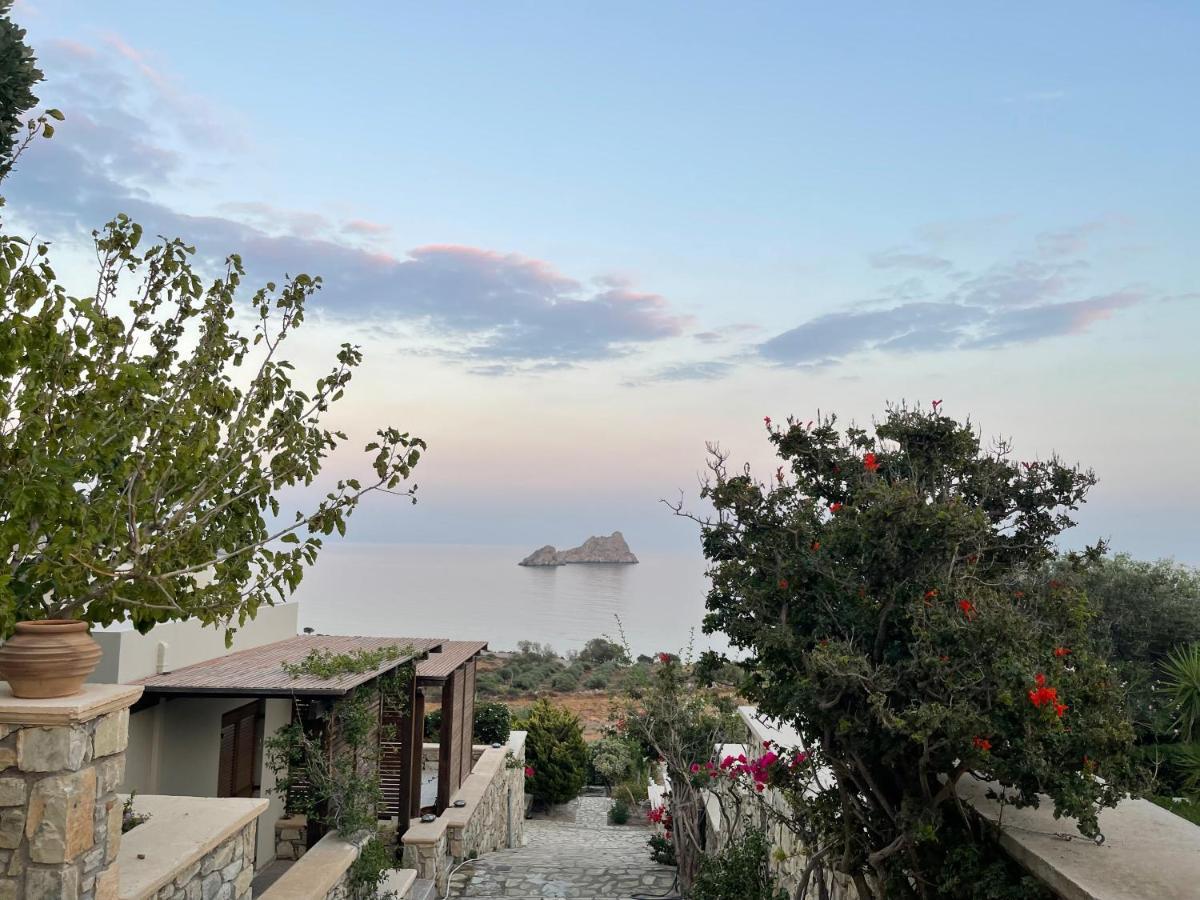 Natica Mare Xerokampos (Crete)