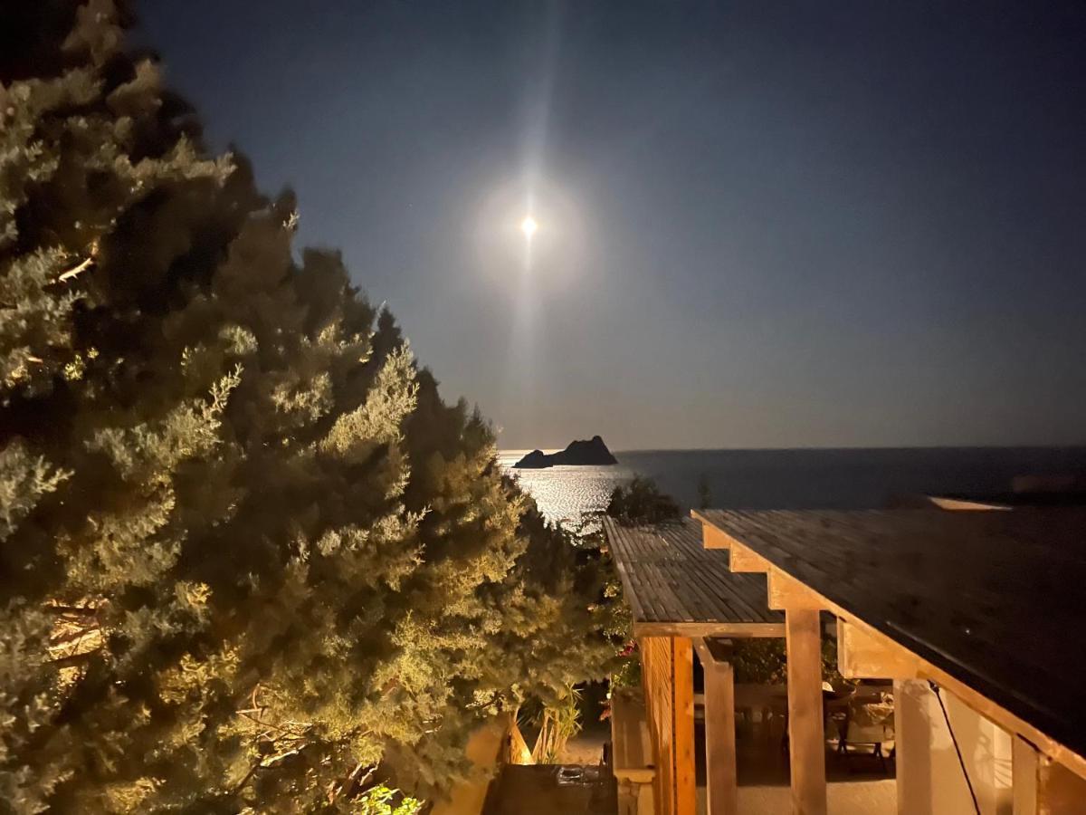 Natica Mare * Xerokampos (Crete)