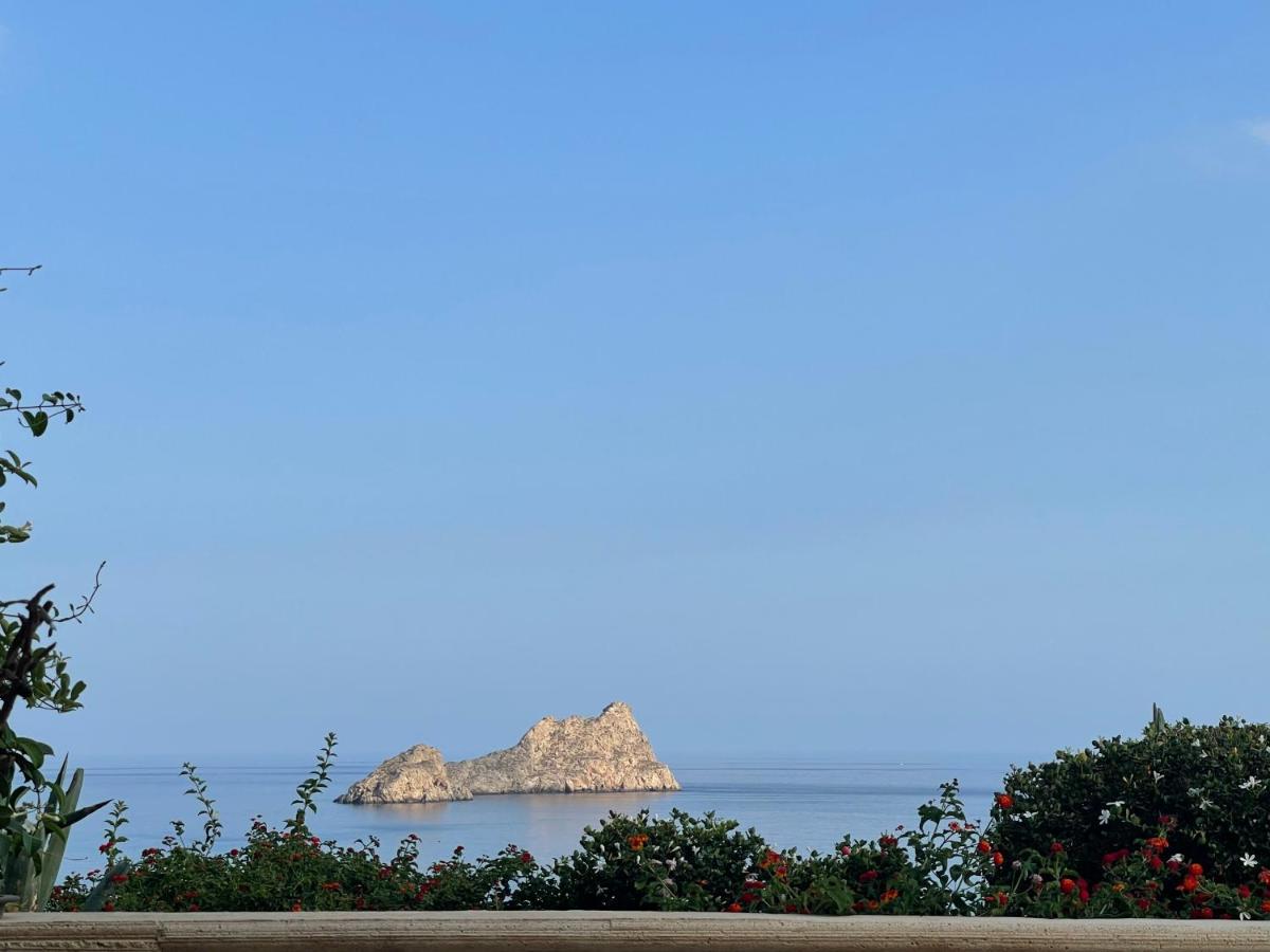 Natica Mare *