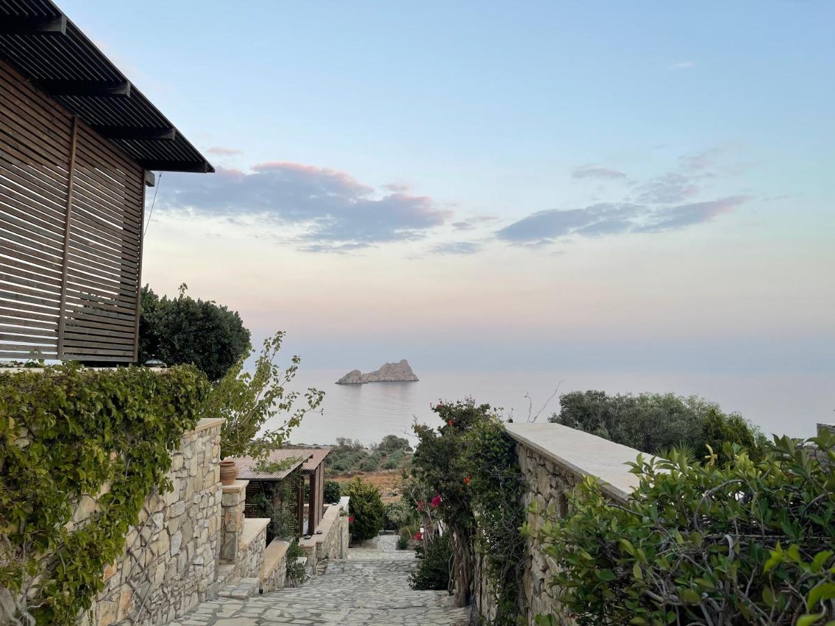 Natica Mare * Xerokampos (Crete)