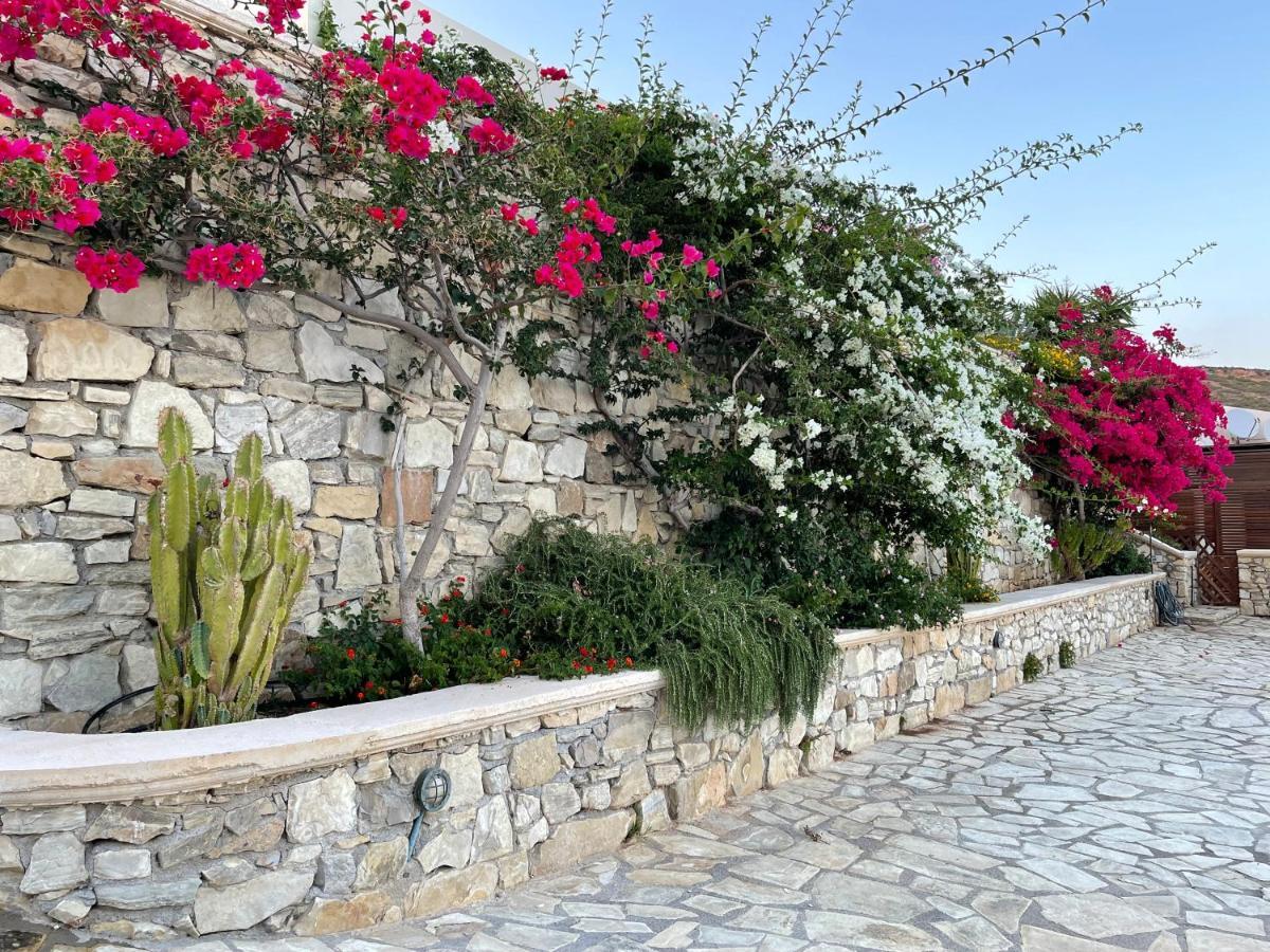 Natica Mare * Xerokampos (Crete)