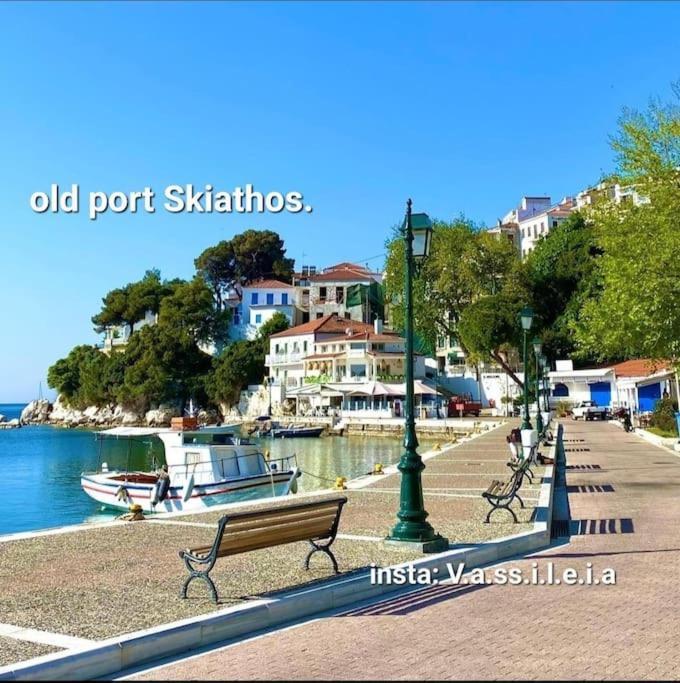 With The View * Skiathos Town