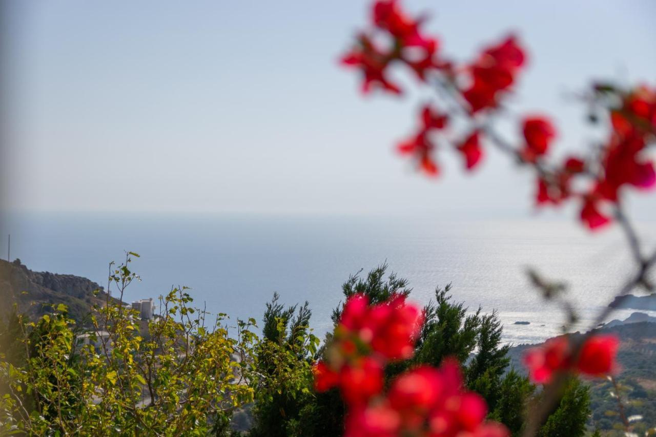 Villa Lodovico Sellia (Rethymno)