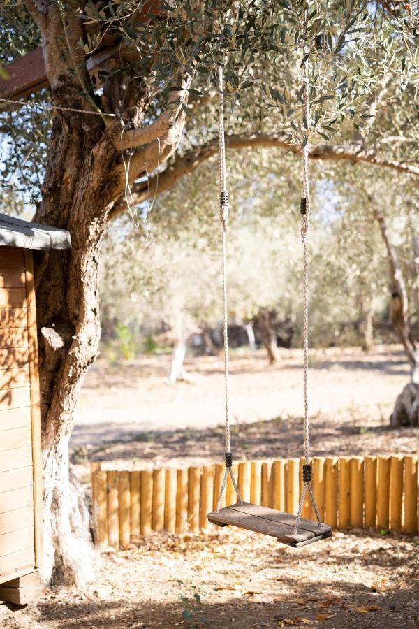 Farm stay Chaihoutes Stone House Into Olive Farm In Zia *