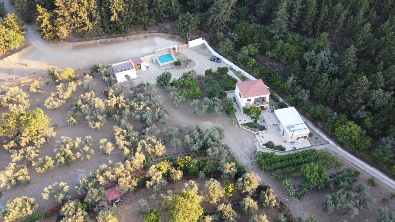 Chaihoutes Stone House Into Olive Farm In Zia