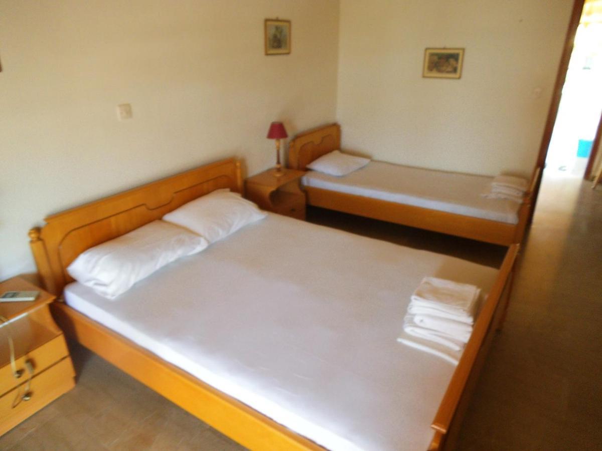 Apartment Xenos