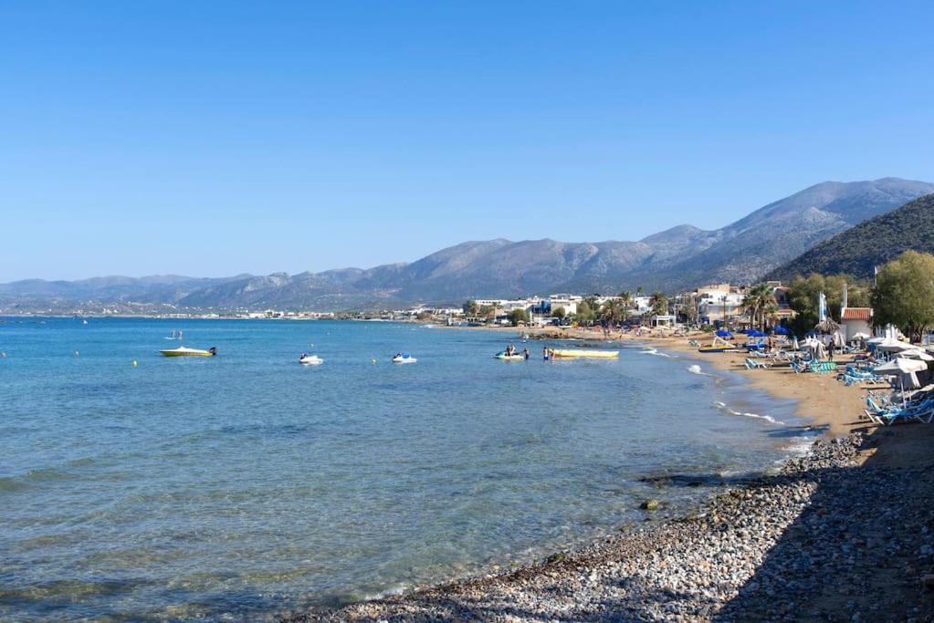 Seafront V *