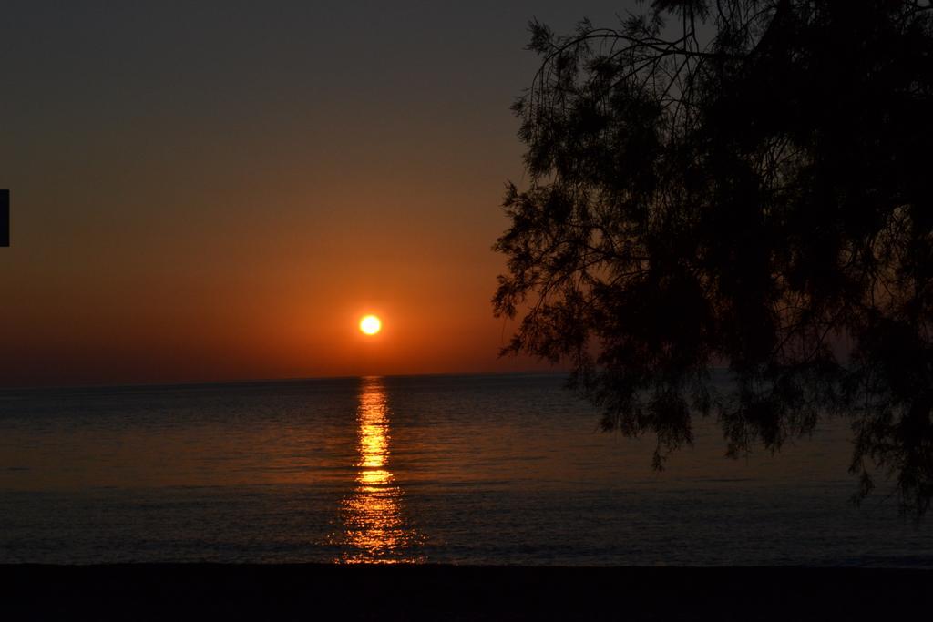 Athena Apartment Zakros