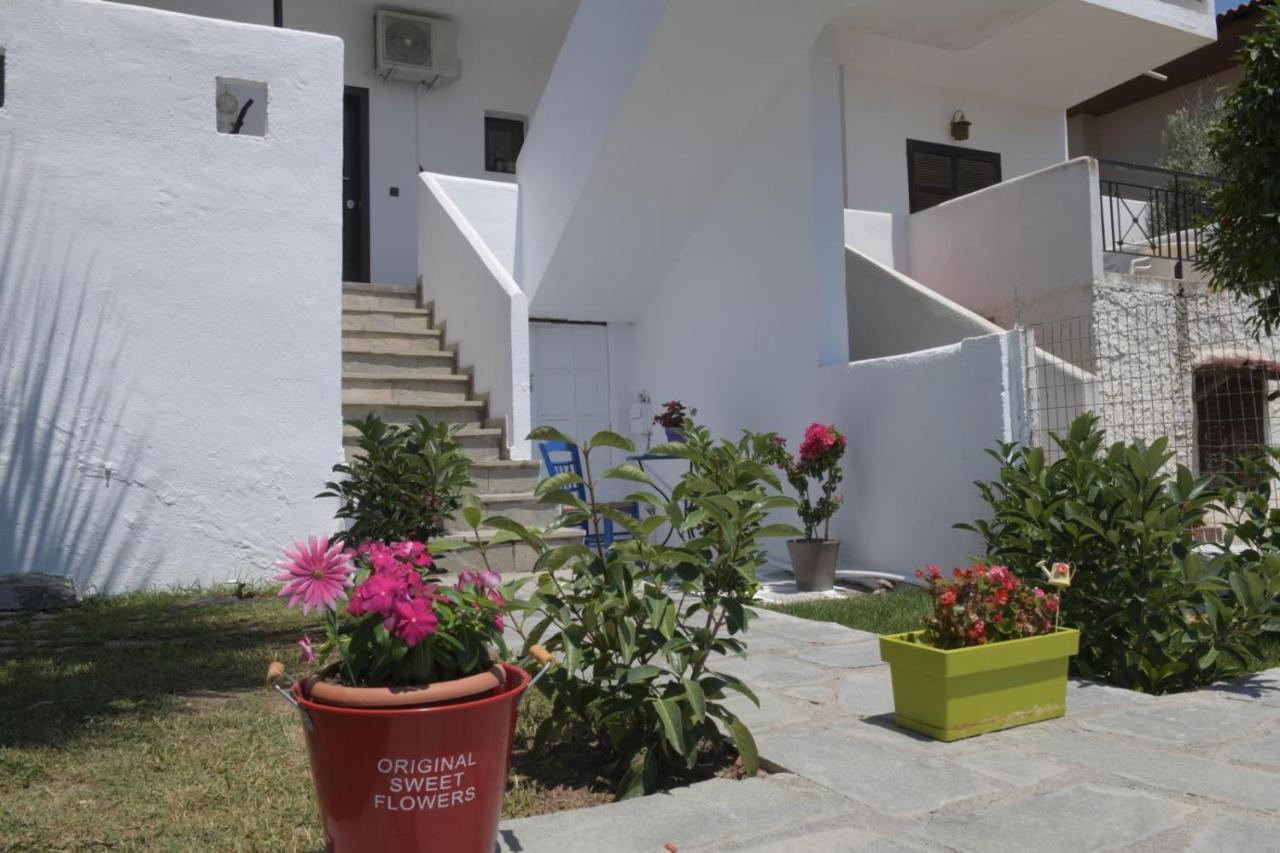 Magnolia Apartment Psakoudia