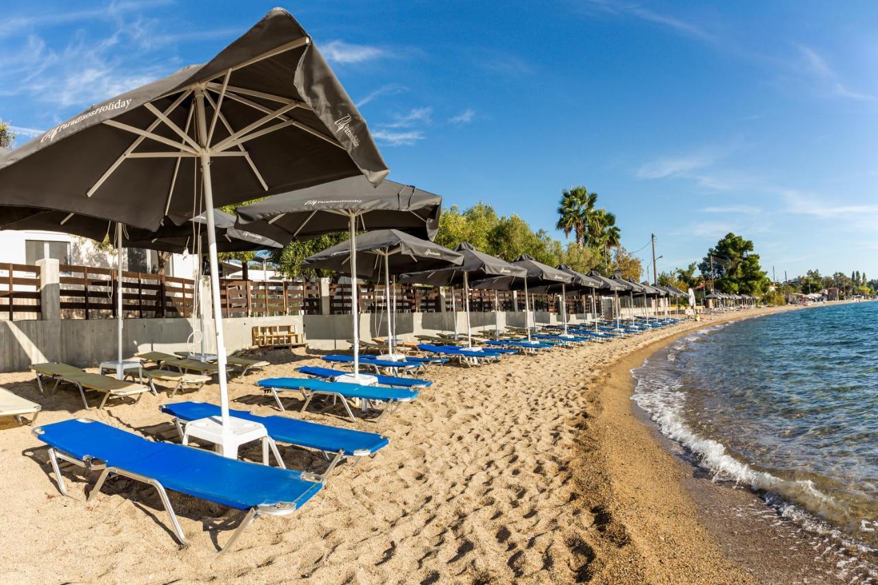 Paradisos Holiday Aparthotel