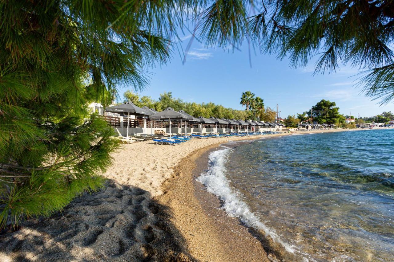 Paradisos Holiday Aparthotel Paradisos