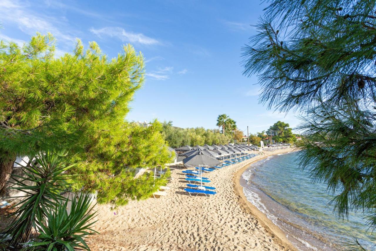Aparthotel Paradisos Holiday Paradisos