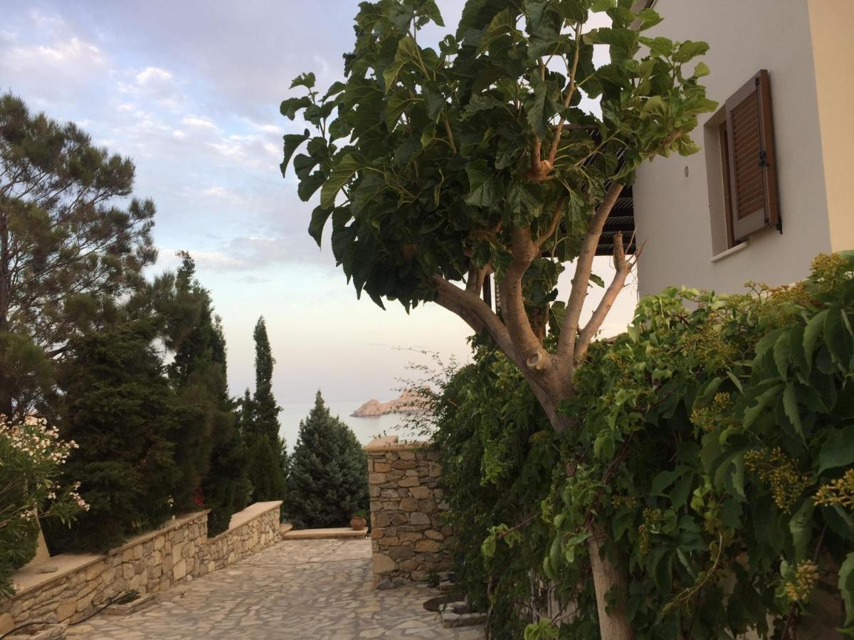 Natica Mare Xerokampos (Crete)
