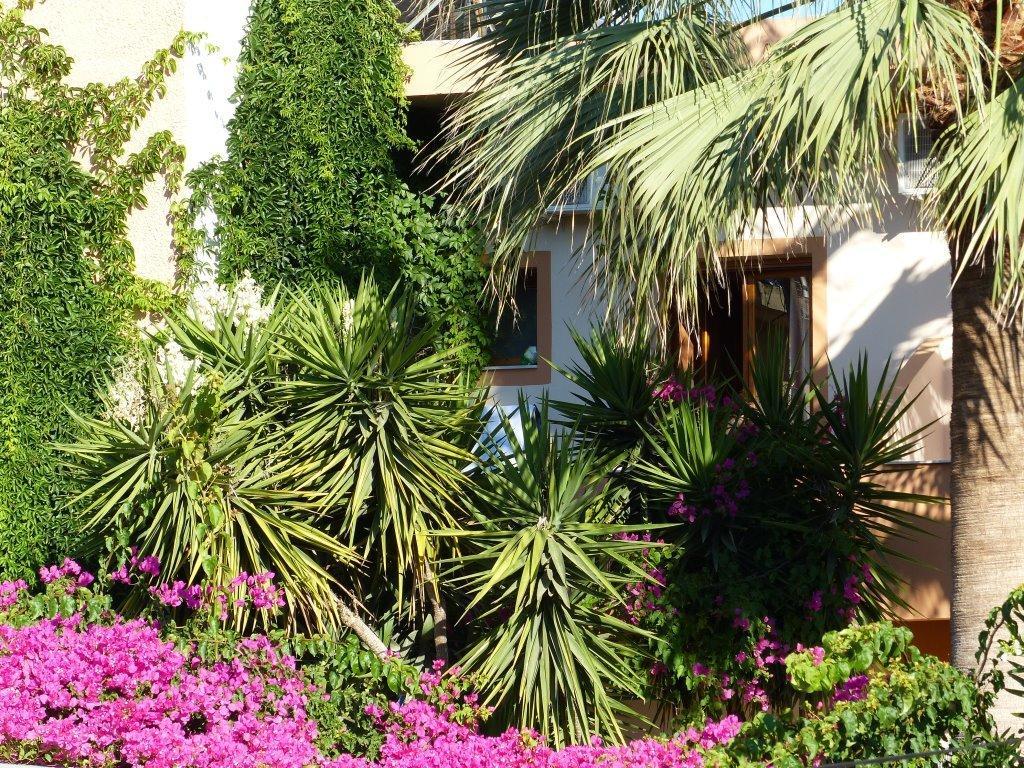Guest house Aretoussa 3*