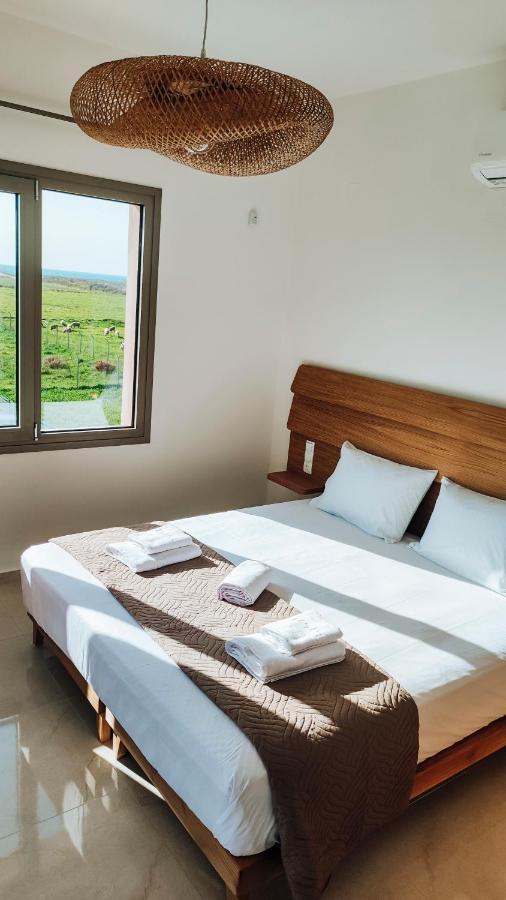 Irini. Seaview - - Pool - Privacy Villa Tympaki