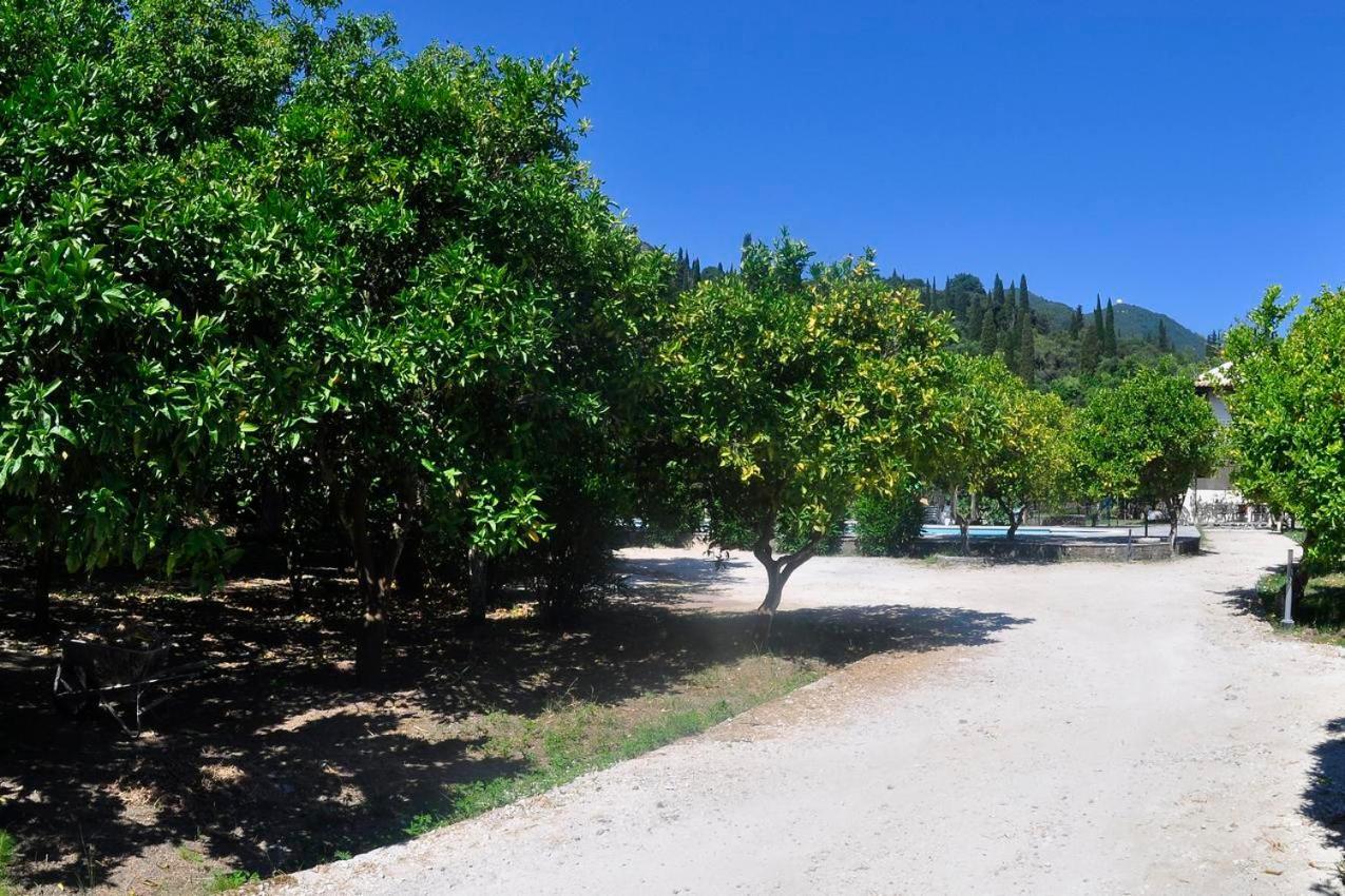 Orange Grove * Benitses (Corfu)