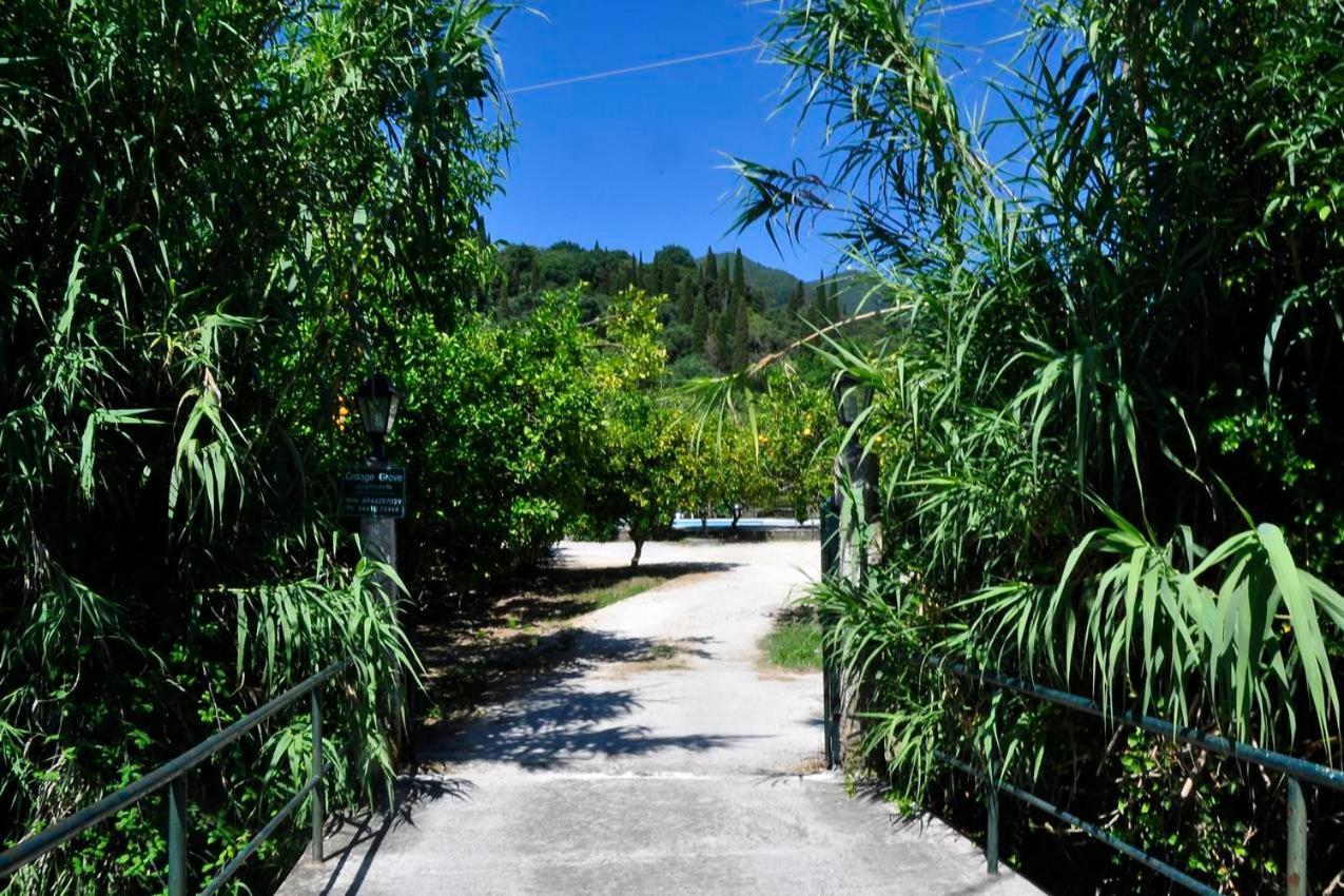 Orange Grove