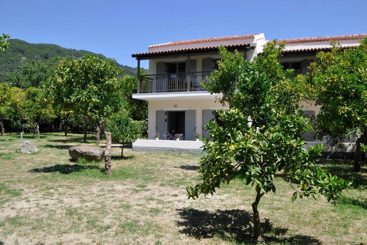 Apartment Orange Grove Benitses (Corfu)