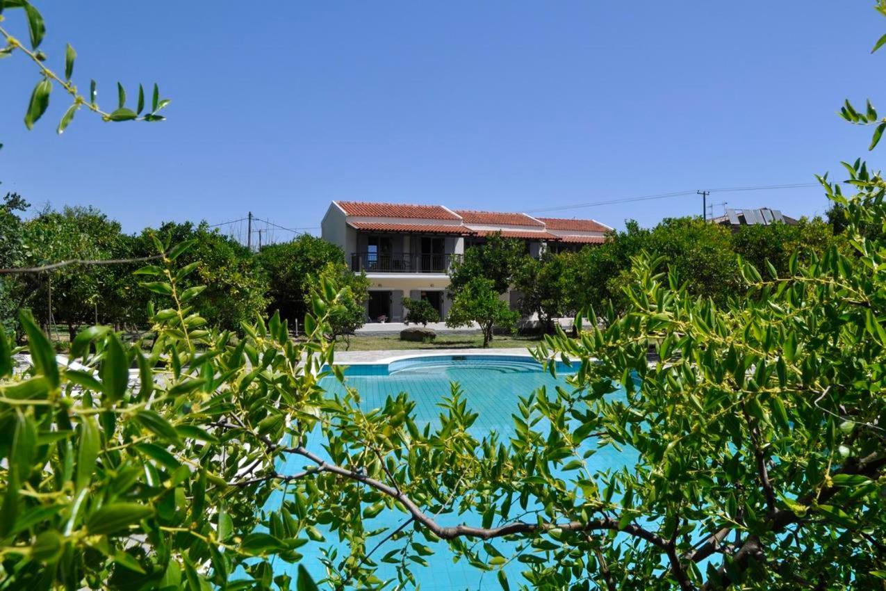 Orange Grove * Benitses (Corfu)
