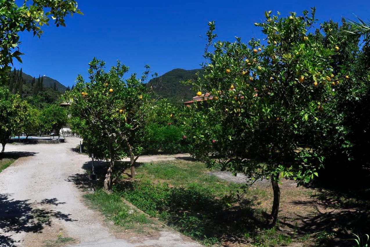 Apartment Orange Grove *