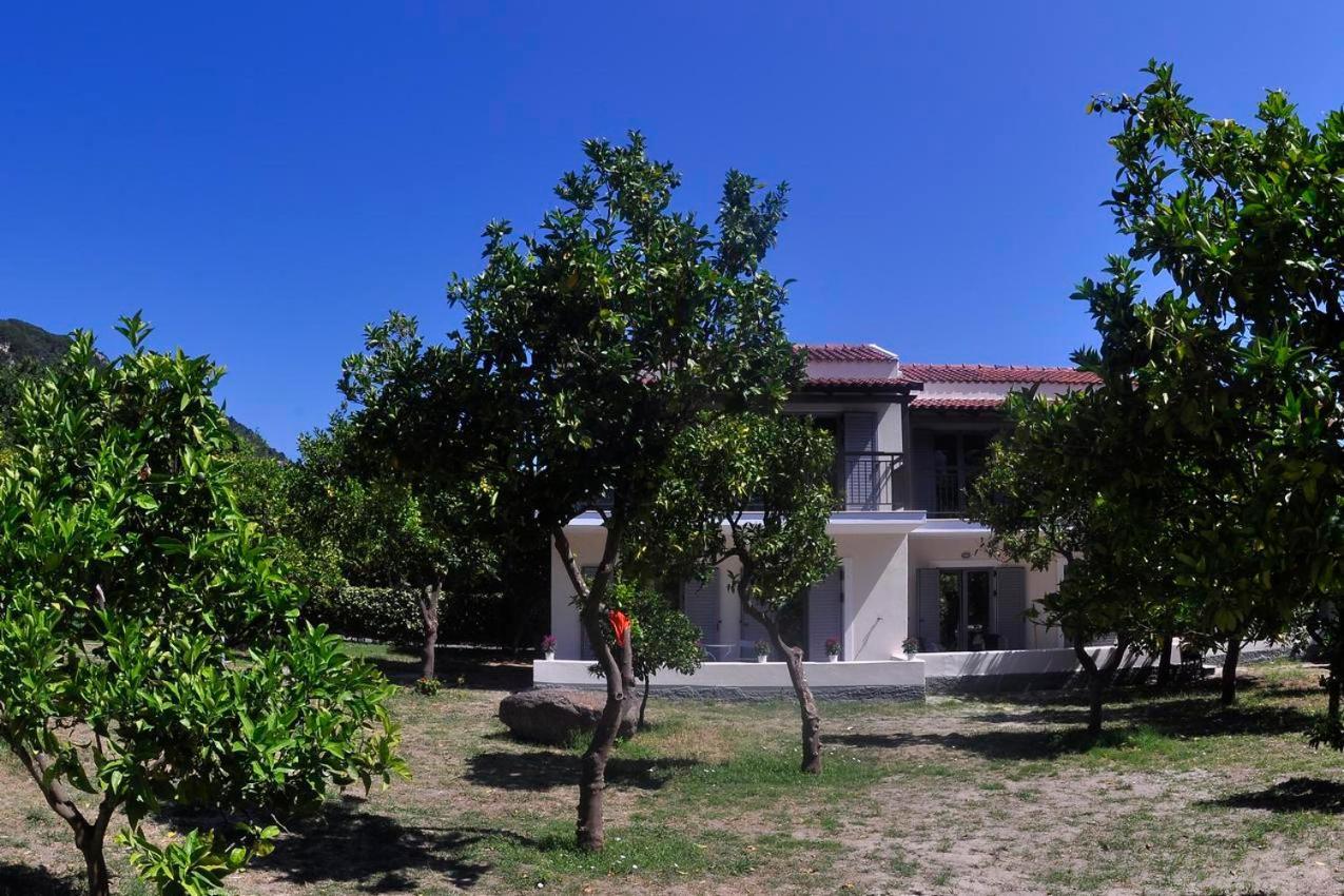 Orange Grove * Benitses (Corfu)