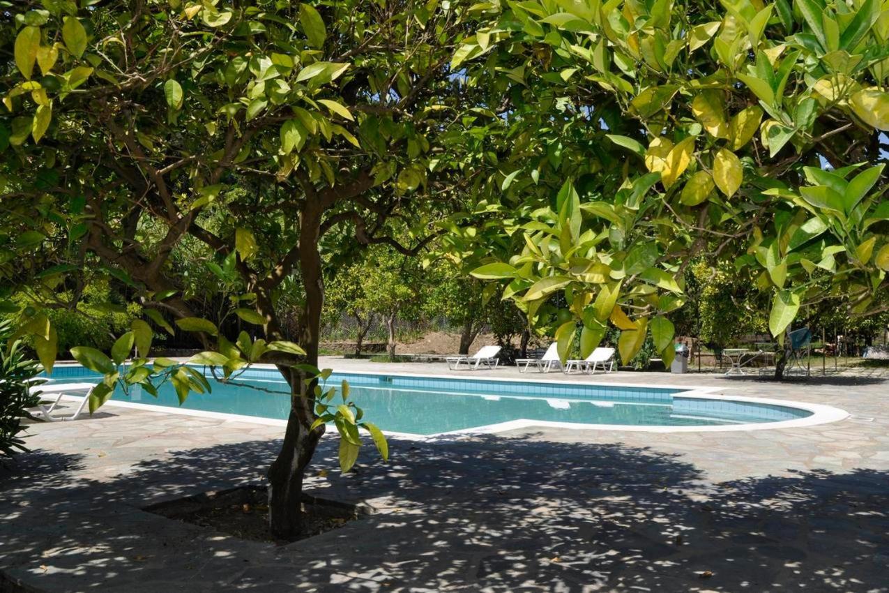 Orange Grove * Benitses (Corfu)