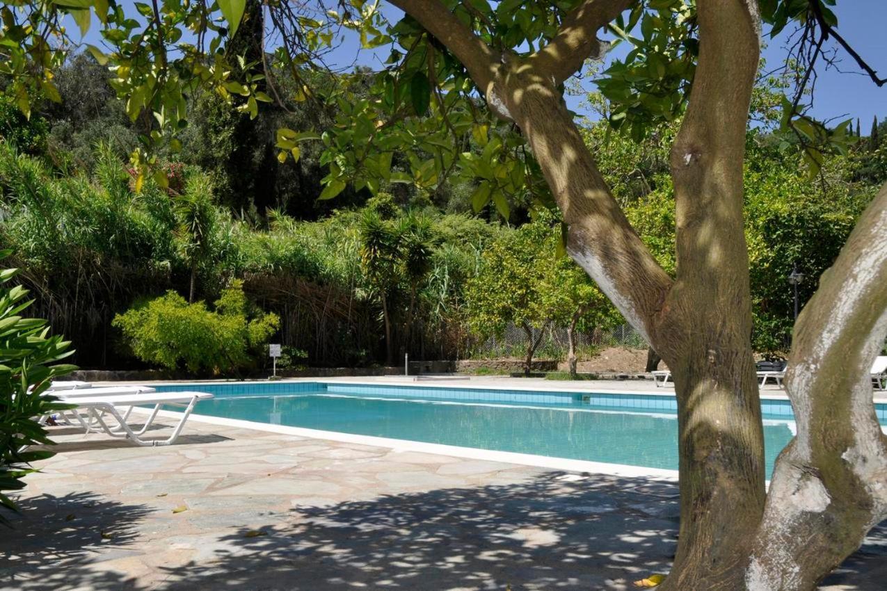 Orange Grove * Benitses (Corfu)