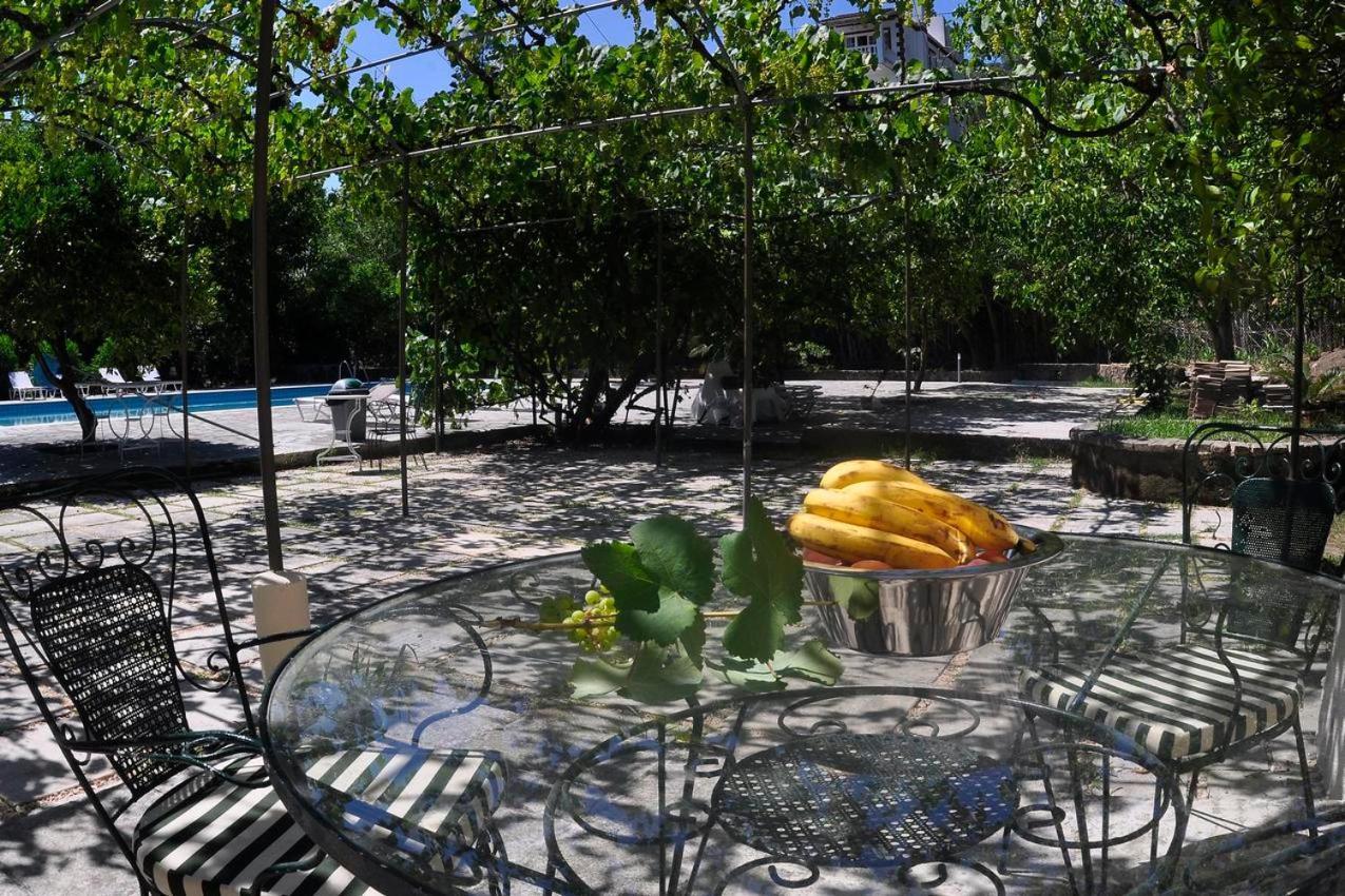 Orange Grove