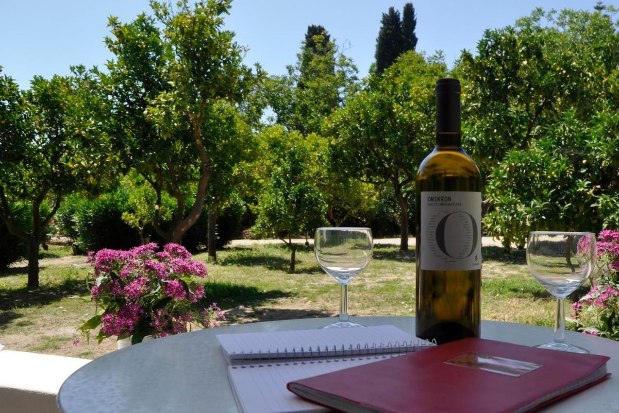 Orange Grove *