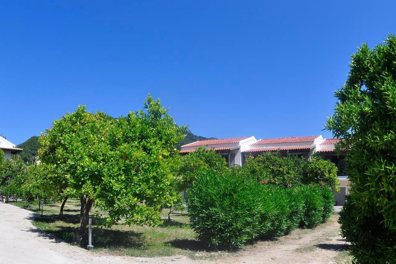 Orange Grove Benitses (Corfu)