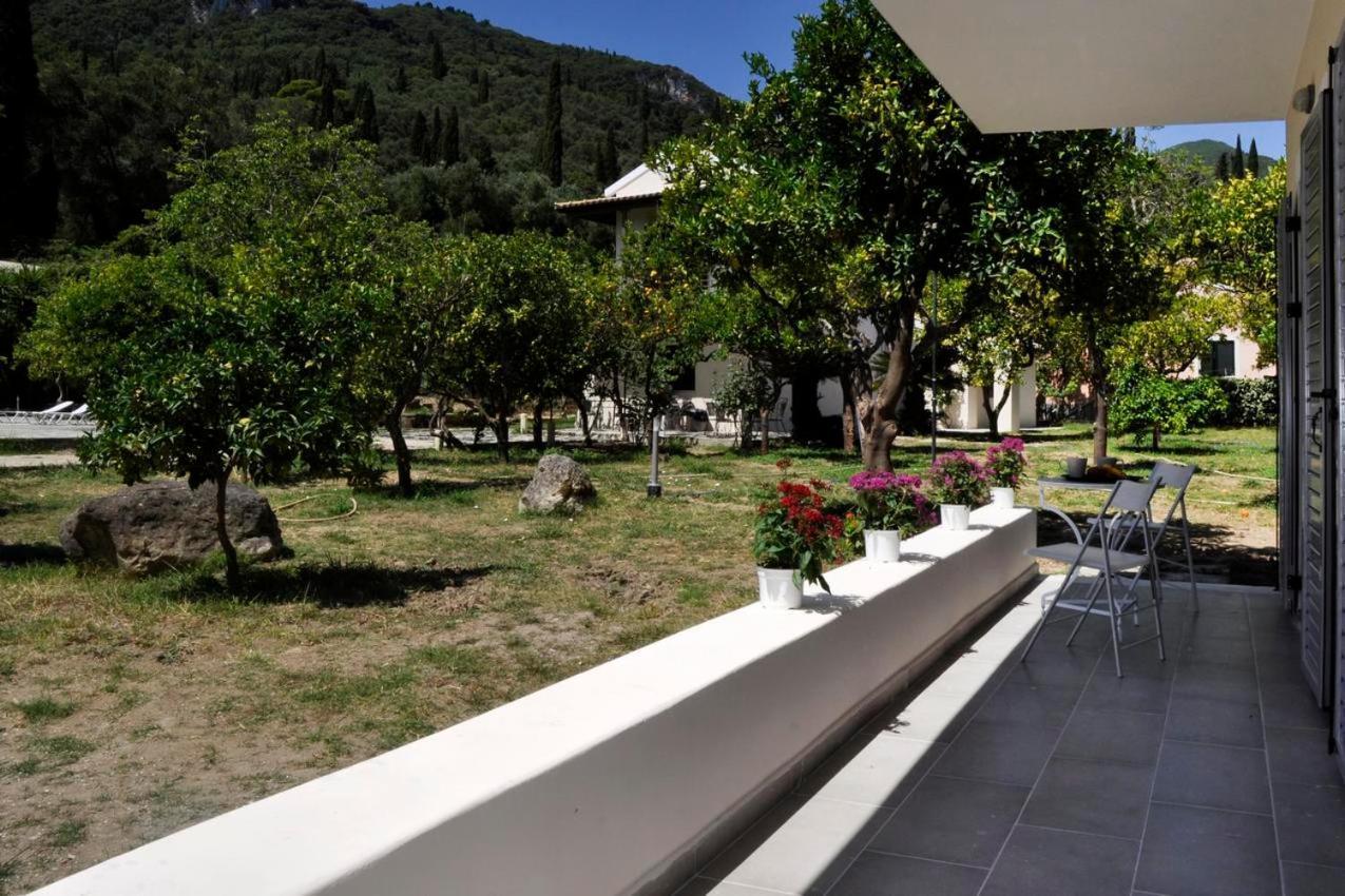 Orange Grove *
