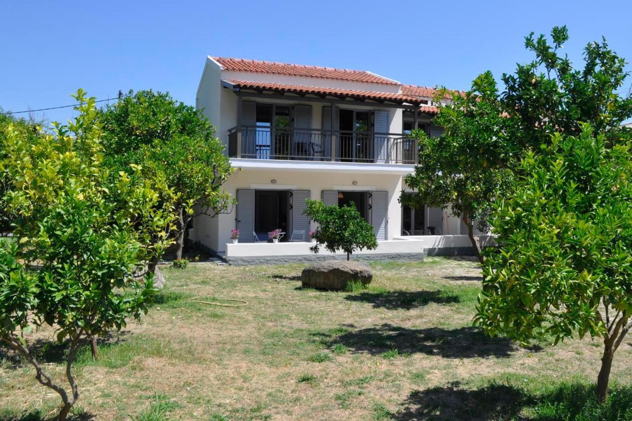 Orange Grove *