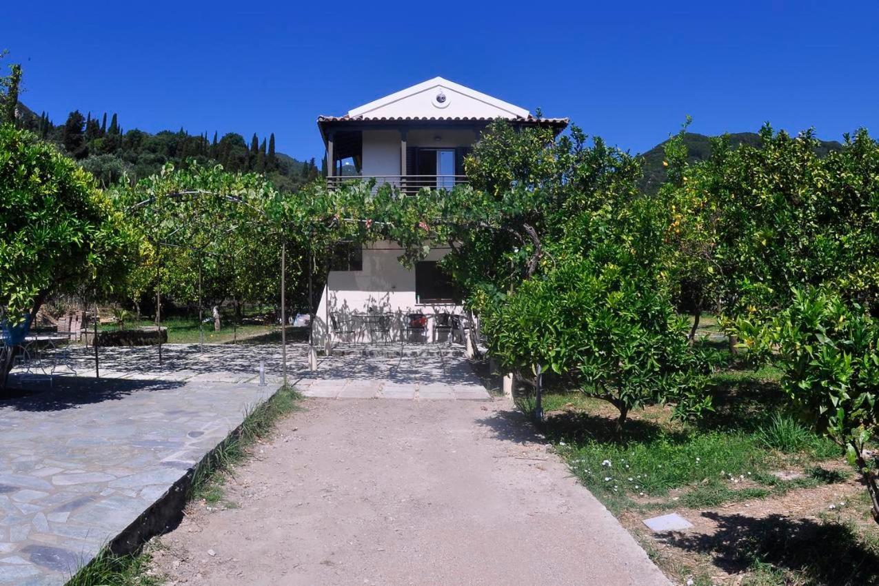 Orange Grove Apartment Benitses (Corfu)