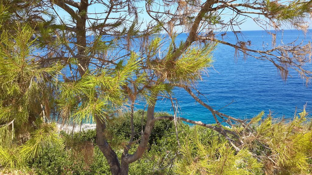 Palataki Absolute Blue Agios Nikolaos (Zakynthos)