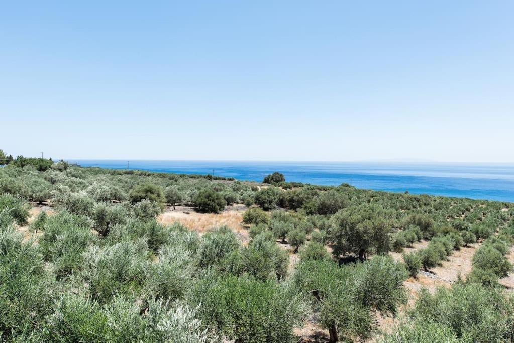 Villa Olvia
