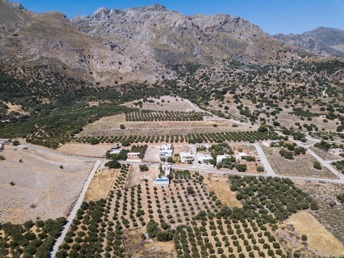 Olvia Sfakia