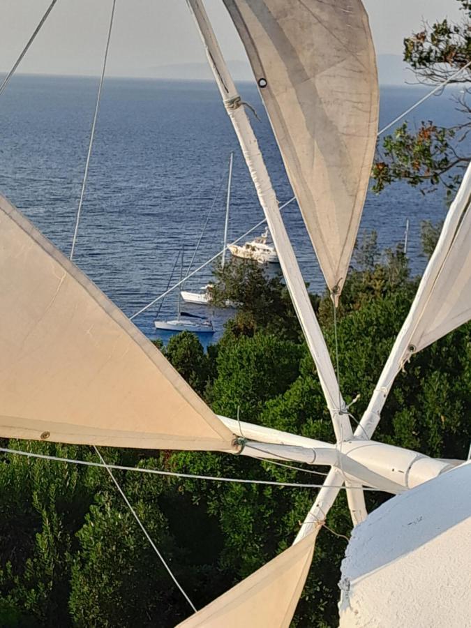 Swing Botel