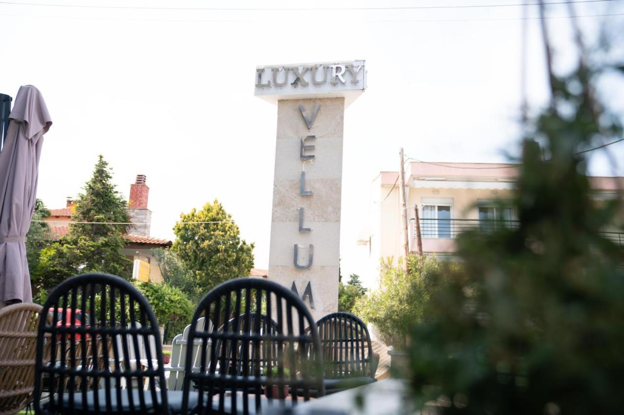 Vellum Luxury Living Hotel
