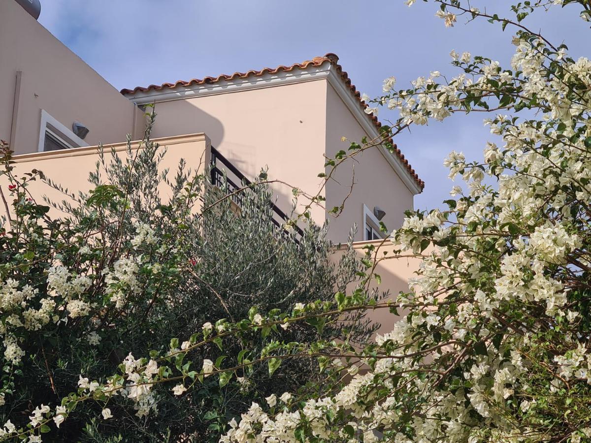 Pagoni Selini N 1 Chania Holiday home *